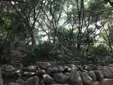 直港精装房,业主才装修两年,随时看房。