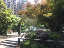 南方新城少量顶跃,安心出售,看房方便,清水,高新