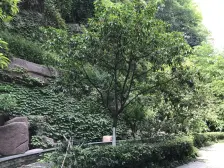 直港 佳宝园三房100万