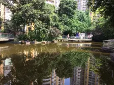 小区安静 配套齐全 ,高楼层视野采光好