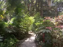 黄泥磅 金玉满堂城市花园三房136万