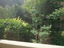 海关地铁口 中海凯旋门 毛坯现房 中高楼层 关注度高