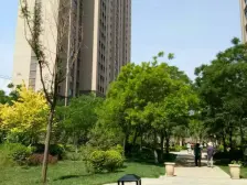 精装修户型正采光好,交通便利,配套齐全