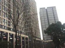 位置好楼下龙湖时代天街大型购物商圈收益高出门轻轨站