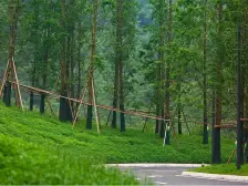 照母山 龙湖舜山府一期大平层四房670万