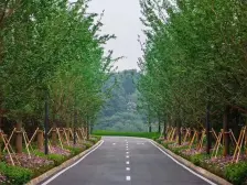 照母山龙湖大平层 一梯一户 三面采光 弧形玻璃带车位