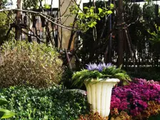 海韵华府,南北通透,采光充足,视野好。