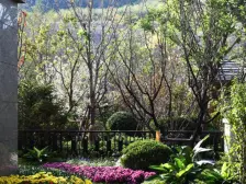 南北通厅三房两卫,意式JI简风装修70万+,拎包入住!