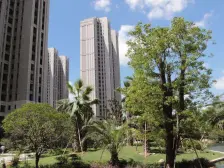 业主2019年入住的次新房,尊享楼座位置,两梯两户