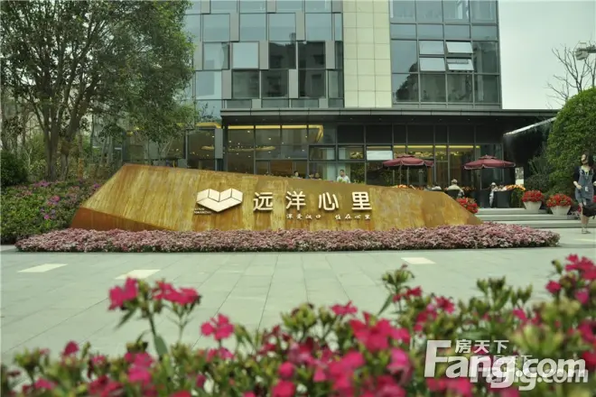 远洋心里实景图