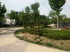 首城汇景湾(梨羊路5号院) 1室1厅 西北