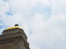 新江与城天奕 6室3厅 南