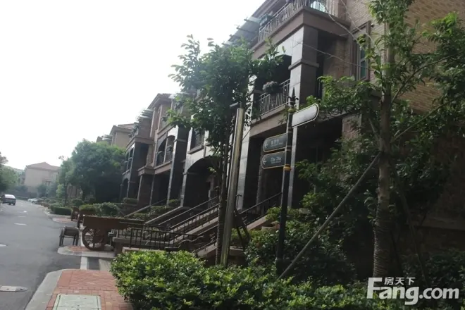 御翠天峯实景图