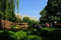 御翠天峯实景图