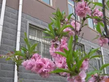 金帝城大两室,通透采光好,看房方便