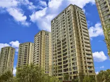 绿城宁江明月望峰苑 4室2厅 南